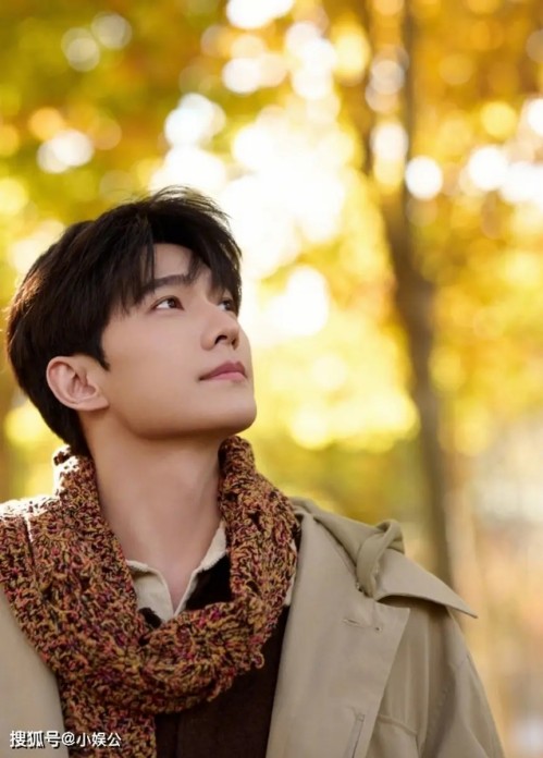 新片《三滴血》票房口碑均失利，电视巨星胡歌的电影大男主之路为何不太顺？