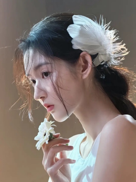 《疯狂动物城2》票房快报与解读